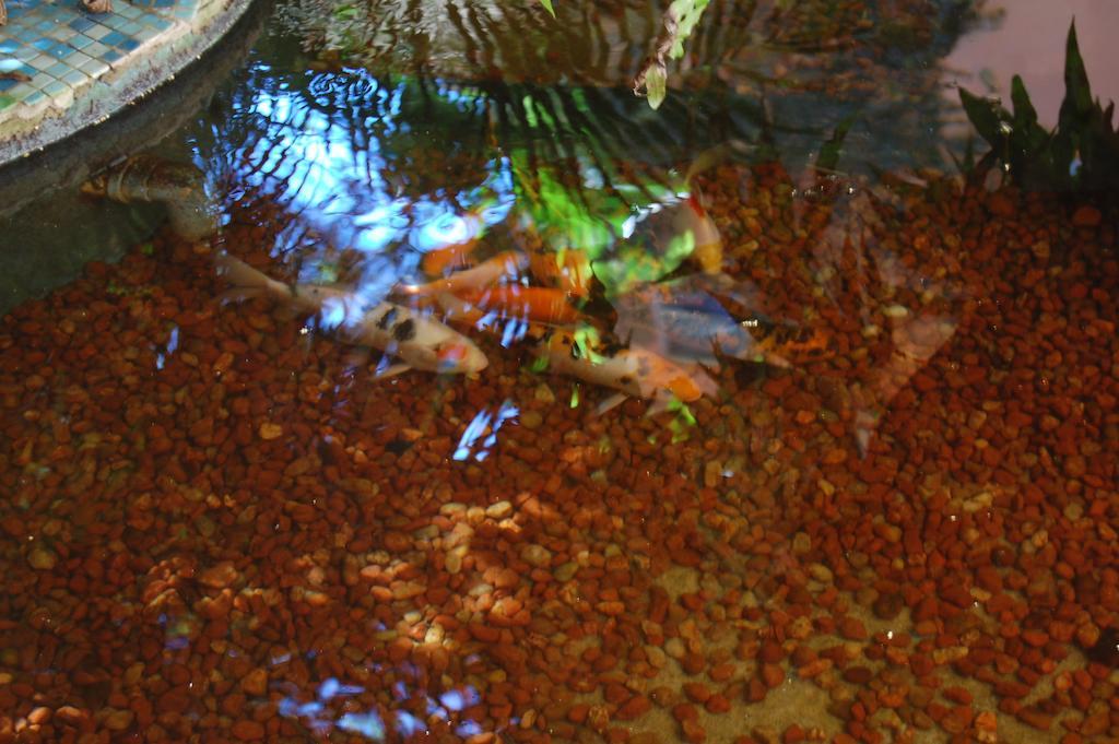Hotel Charme Fonte Do Boi Сальвадор Экстерьер фото